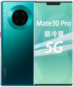Huawei/Ϊ mate30/mate30 Pro 5G